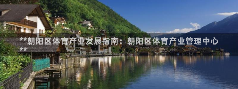 必一体育bsport