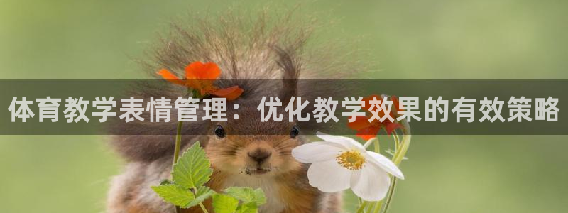 必一体育合法吗：体育