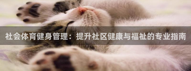 必一体育周公：社会体