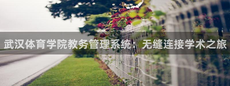 必一体育sport网