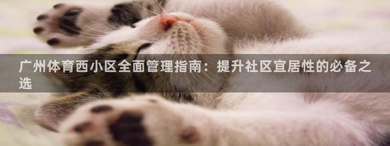 必一体育sport：