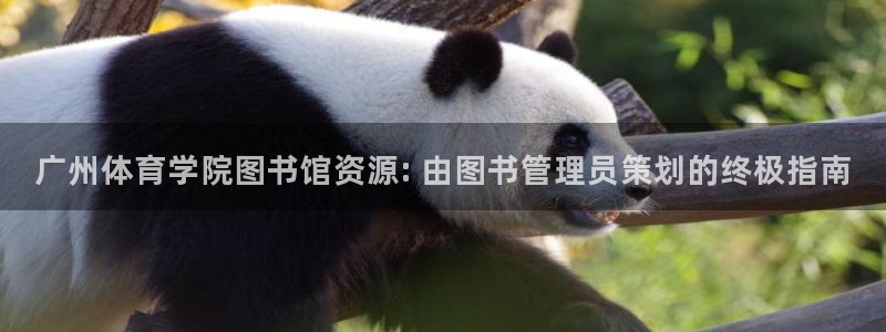 必一运动听的歌：广州