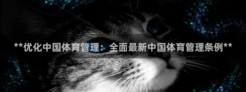 必一体育官方app下