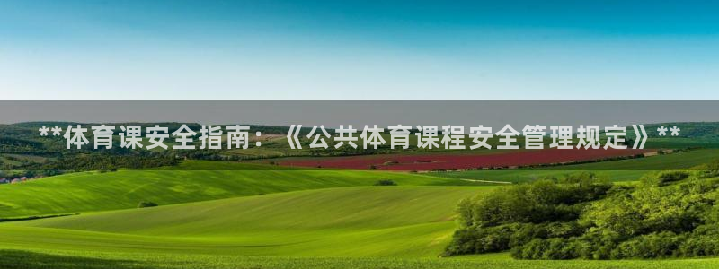 必一体育是啥：**体