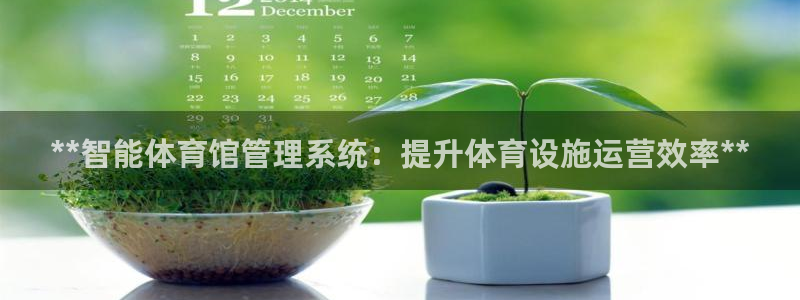 必一体育sport下