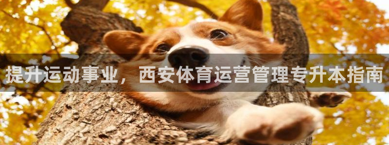 必一体育全站在线登录