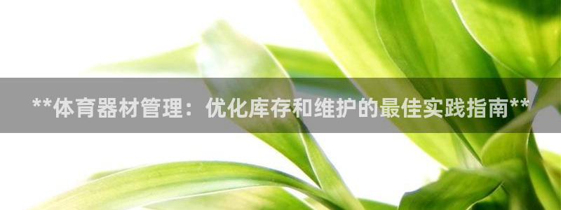 必一体育网页登录版官