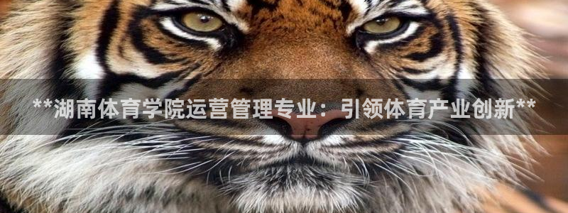 必一体育官网网站：*