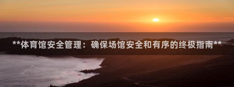 必一体育官网入口：*