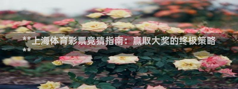 必一运动bsport