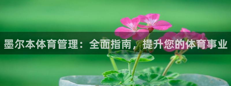 必一体育在线登录：墨