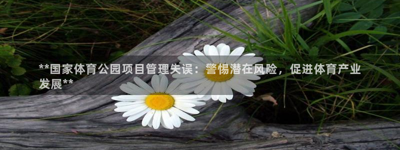 必一体育网页登陆：*