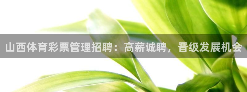 必一体育官方入口：山