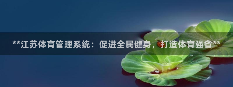 必一体育运动官网：*