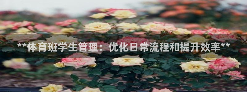 必一体育app官方正