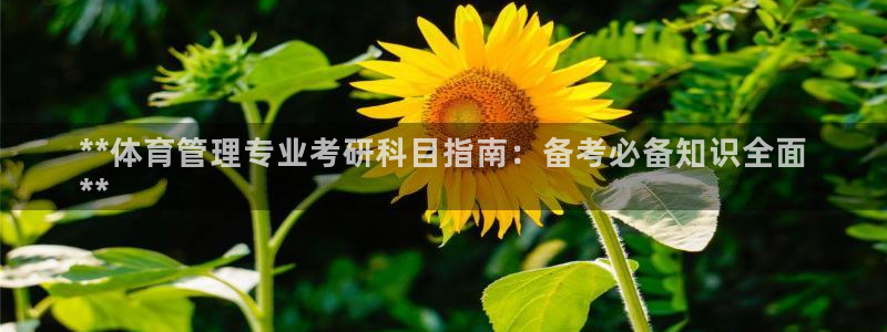 必一体育网页登陆：*