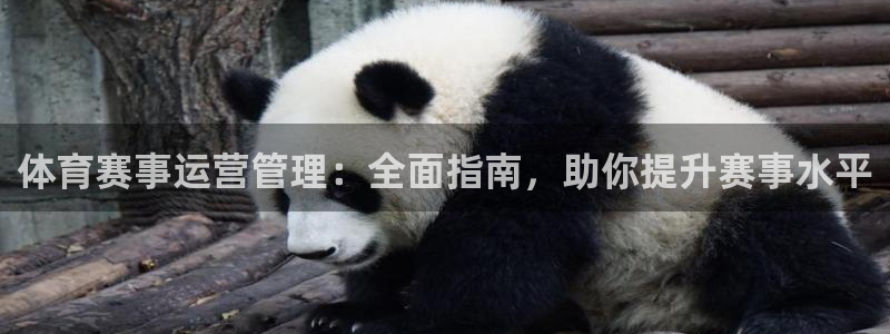 必一体育app官方网