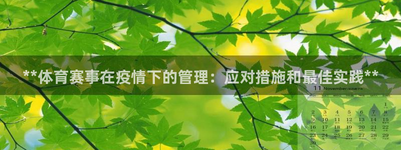 必一运动sport爱