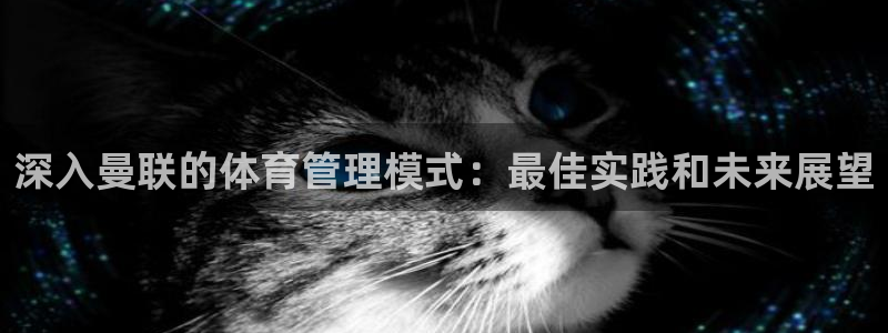 必一运动aop：深入