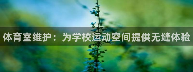 必一体育sportB