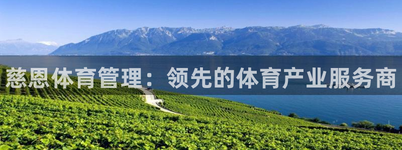 必一体育全站在线登录