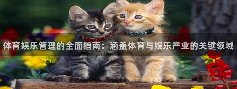 必一体育bsport