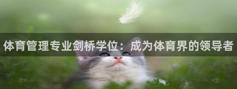 必一体育在线登录：体