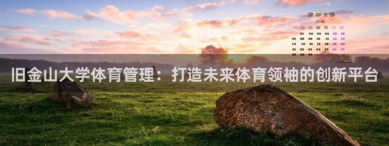 必一体育登录APP下
