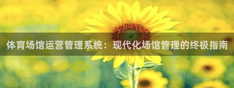 必一体育最新官网入口