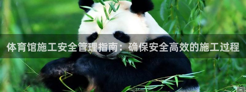 必一体育官网网站：体
