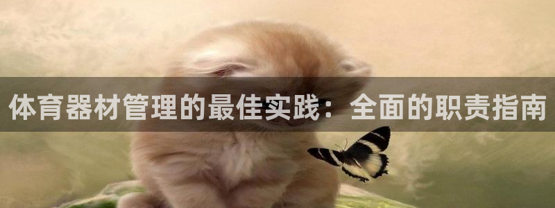 必一体育电子app：