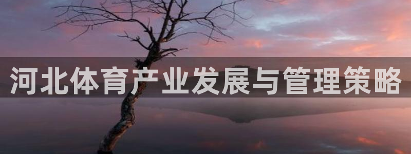 b体育官网下载入口a