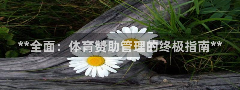 必一运动短信：**全