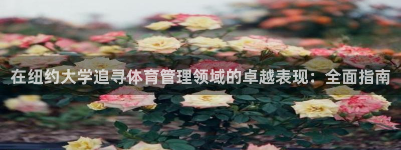 必一体育登录入口AP