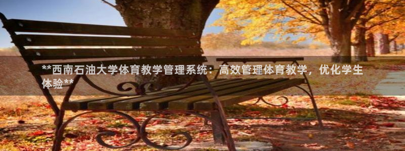 必一体育运动下载：*