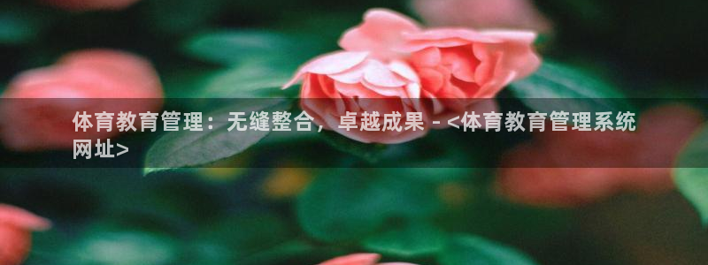 必一体育登录APP下