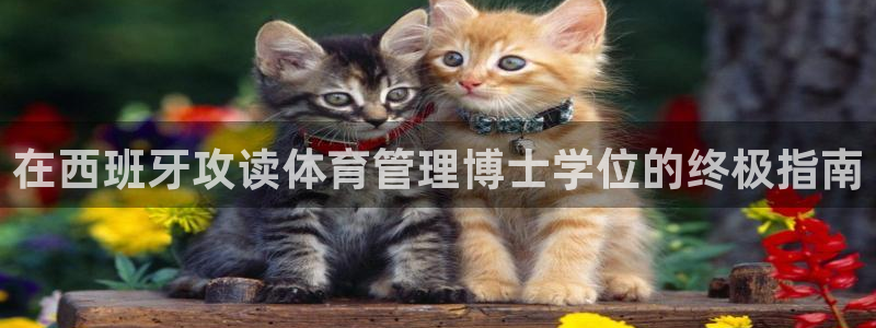 必一体育官方下载入口