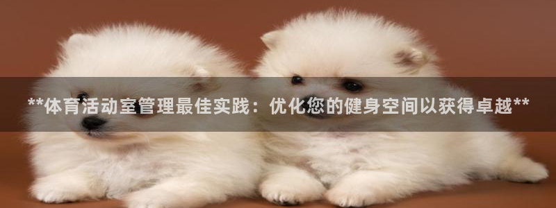 必一体育流水线是什么
