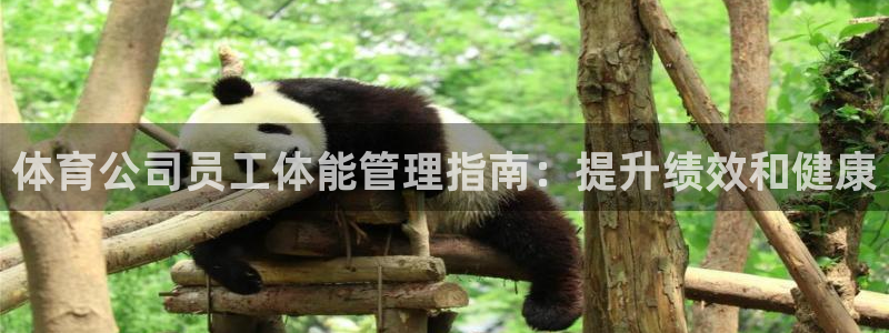 b体育官网下载入口a