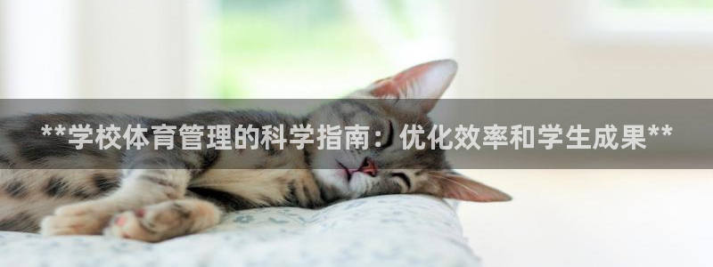 必一体育官方网站入口