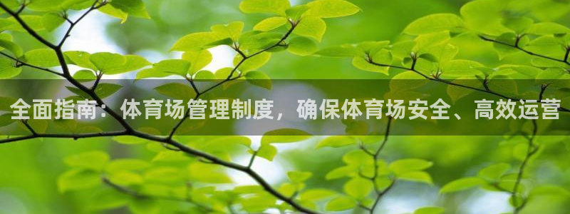 必一体育下载移动版：