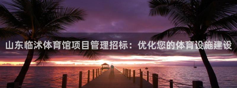 必一体育在线玩：山东