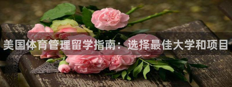 必一体育在线登录：美