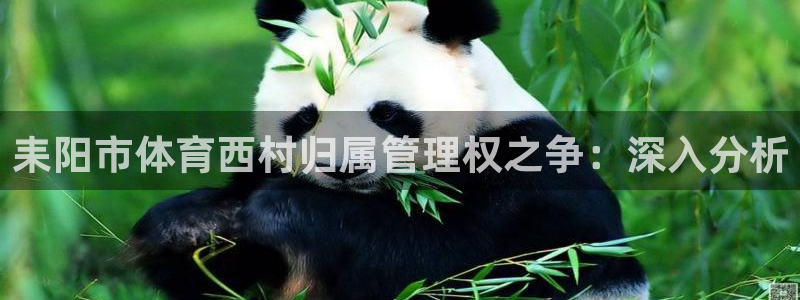 必一体育sport官