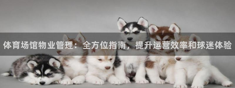 必一体育官方下载：体