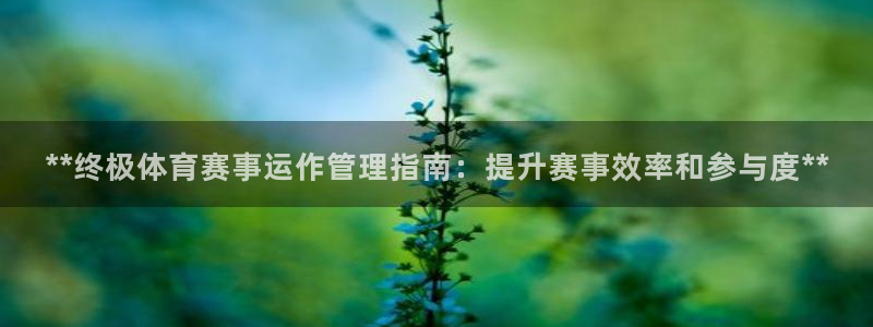 必一体育APP下载安