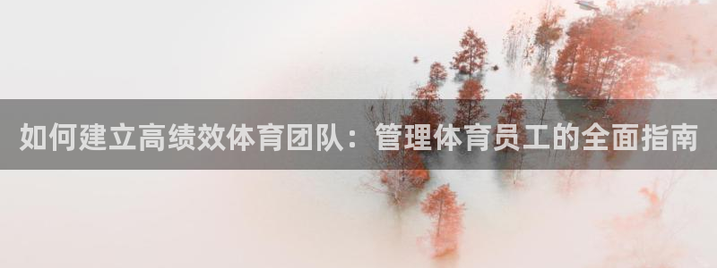 必一体育bsport