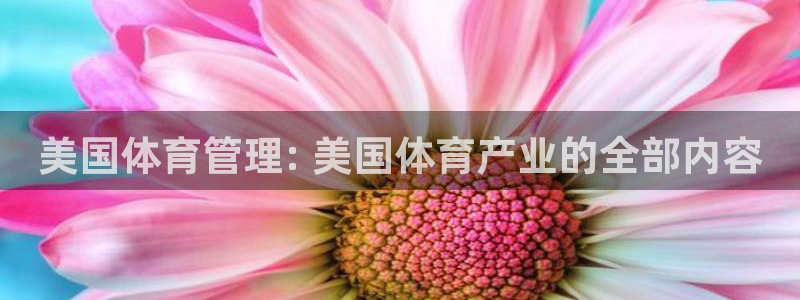 必一体育下载app下