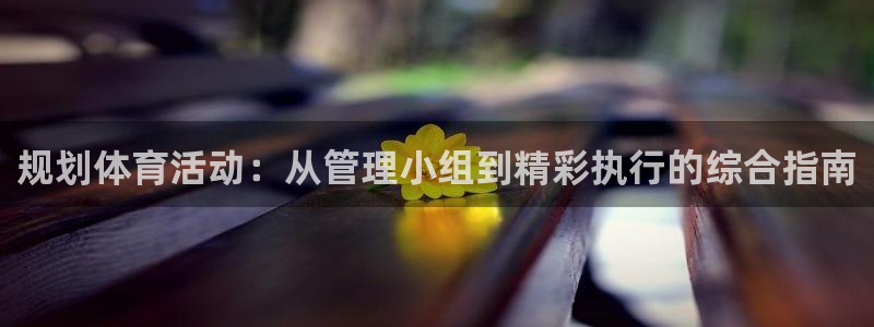 必一体育app官方下载：规划体育活动：从管理小组到精彩执行的