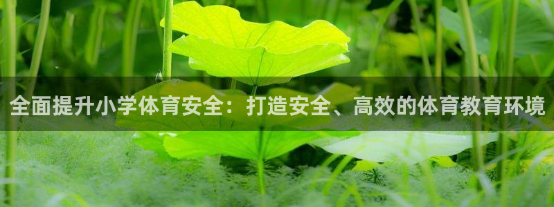 必一运动体育官网下载